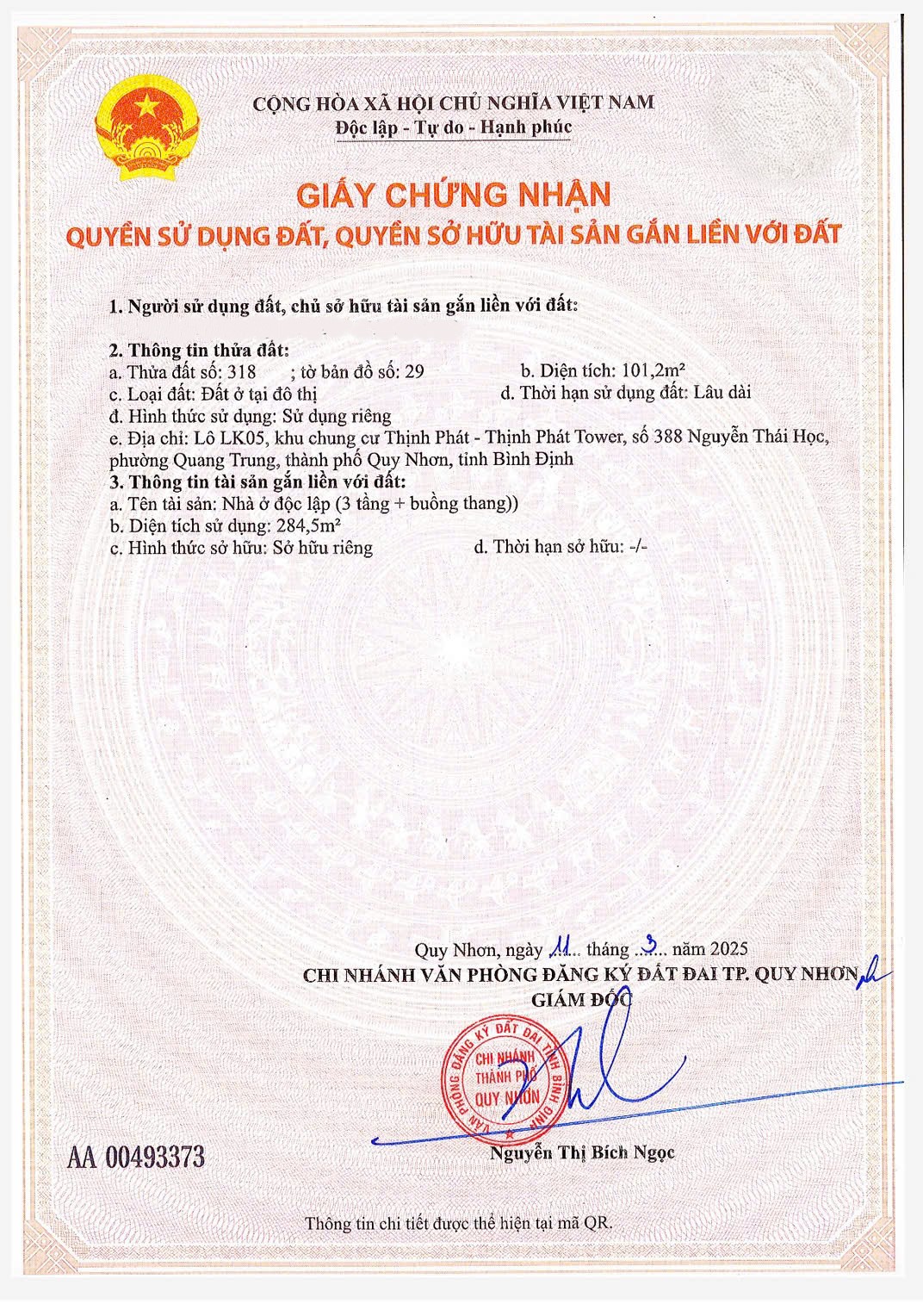 Bán nhà phố 3 tầng đường Thanh Niên, thành phố Quy Nhơn - Ảnh 2